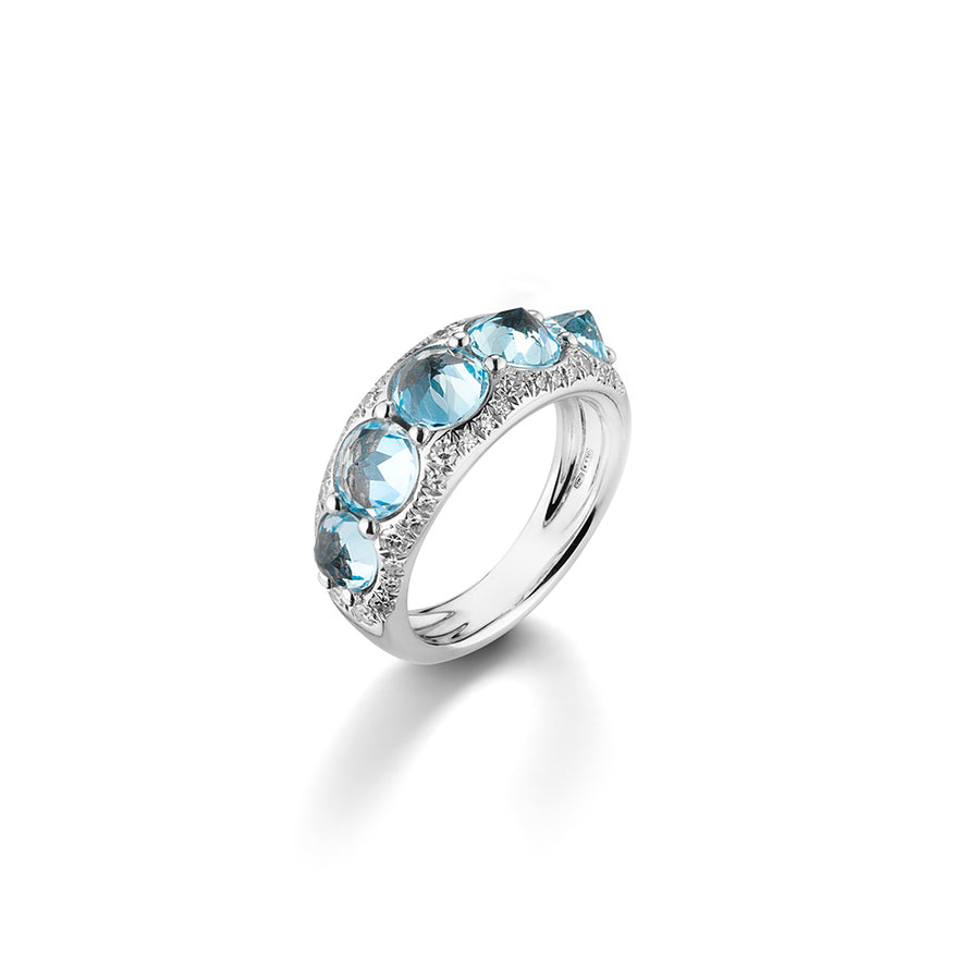 ANELLO A FASCIA REVE_R