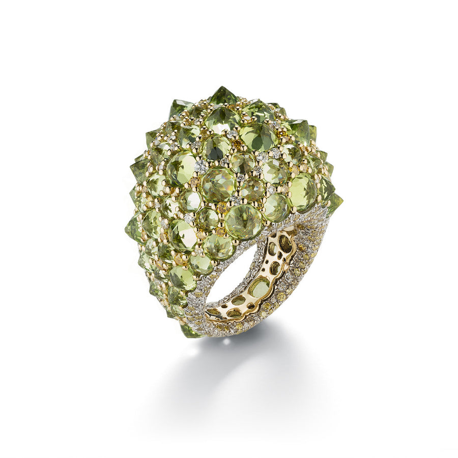 ANELLO REVE_R
