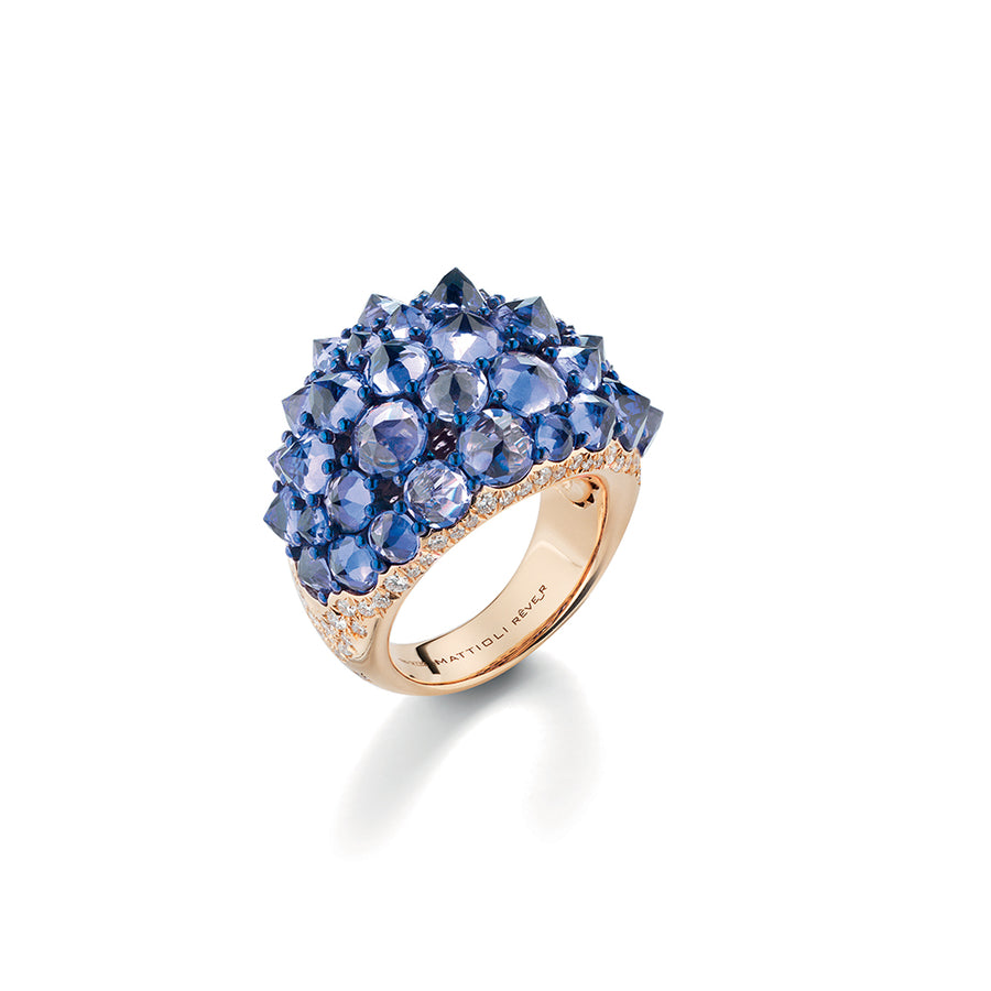 ANELLO REVE_R