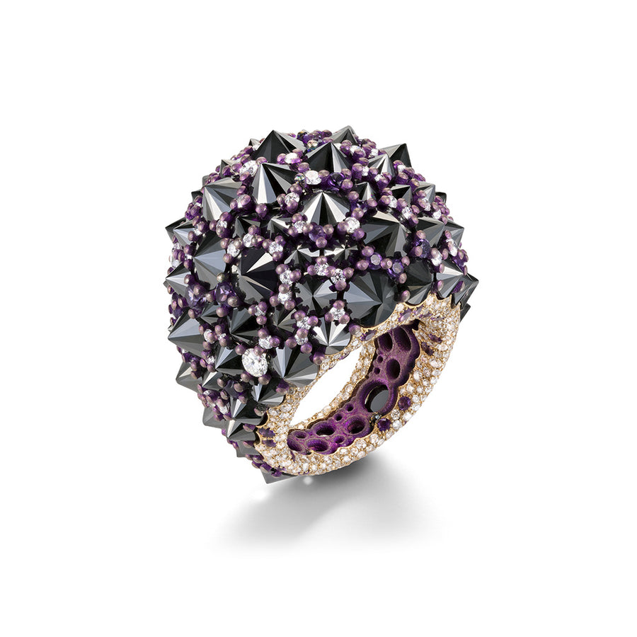 ANELLO REVE_R