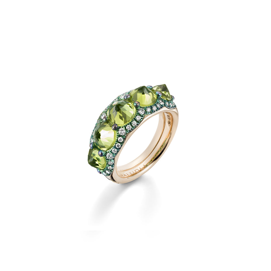 ANELLO A FASCIA REVE_R