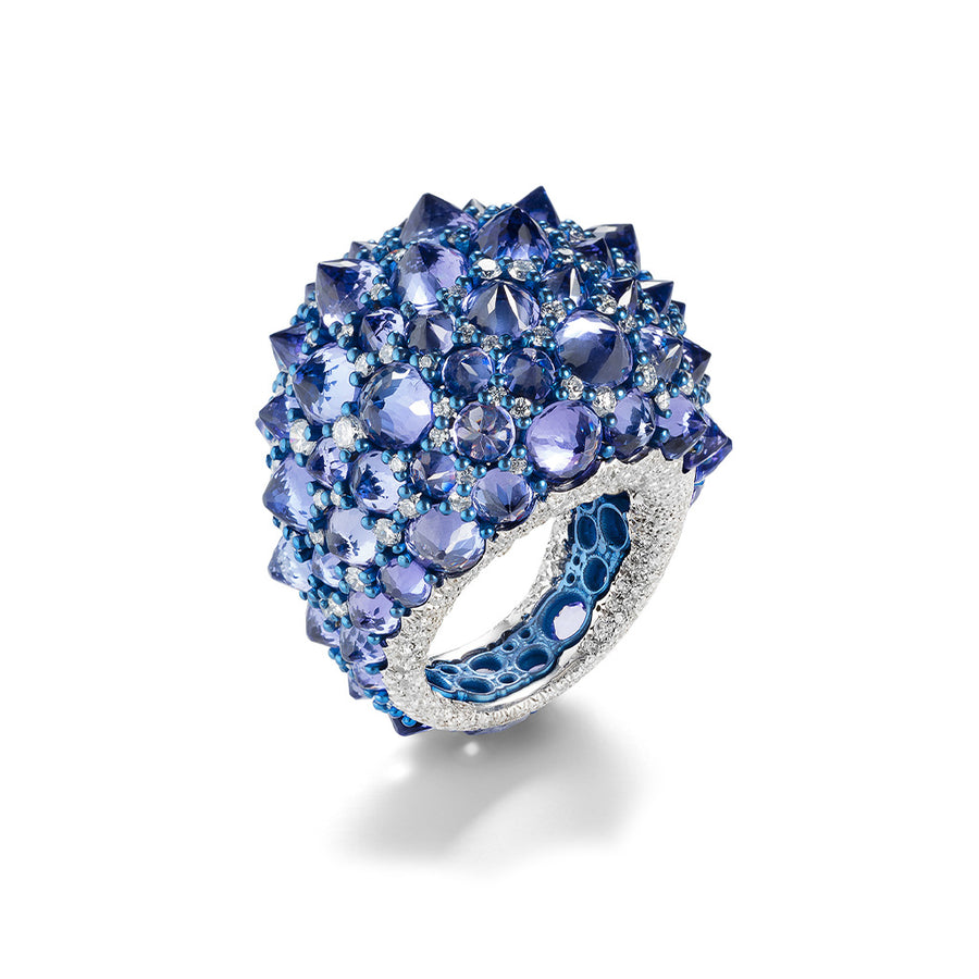 ANELLO REVE_R