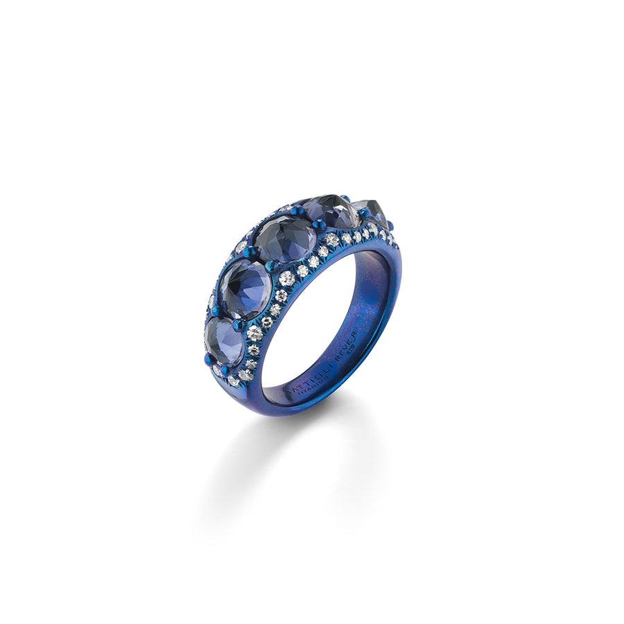 ANELLO A FASCIA REVE_R