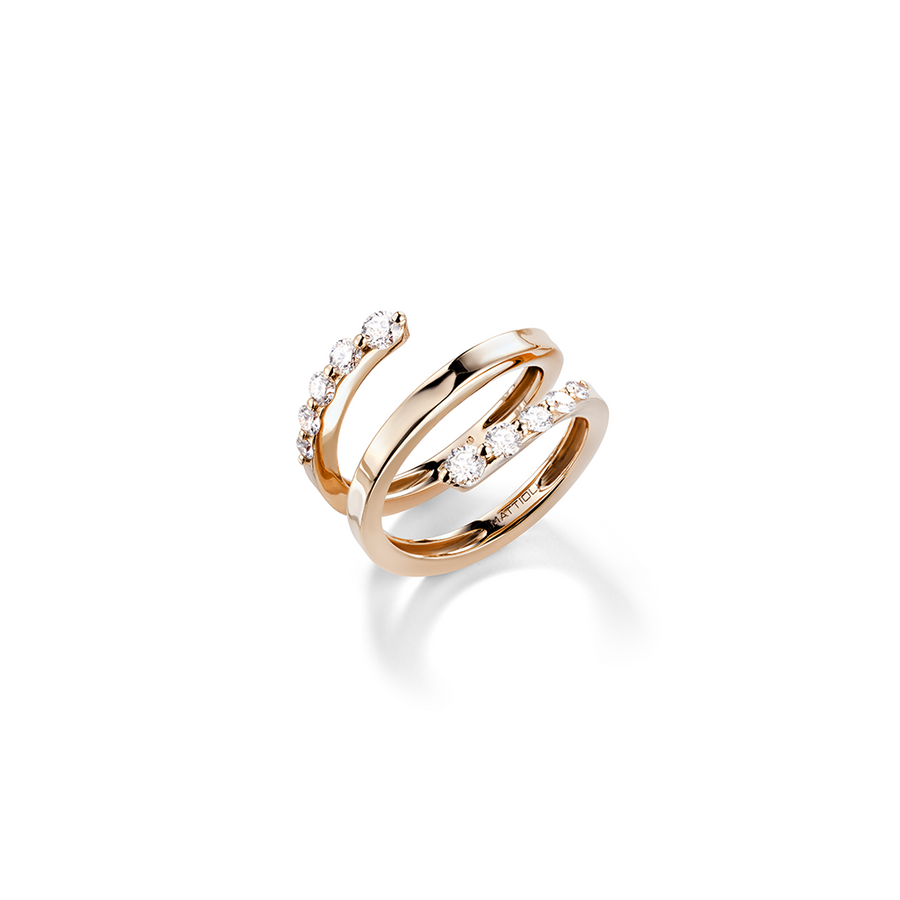 ANELLO ASPIS