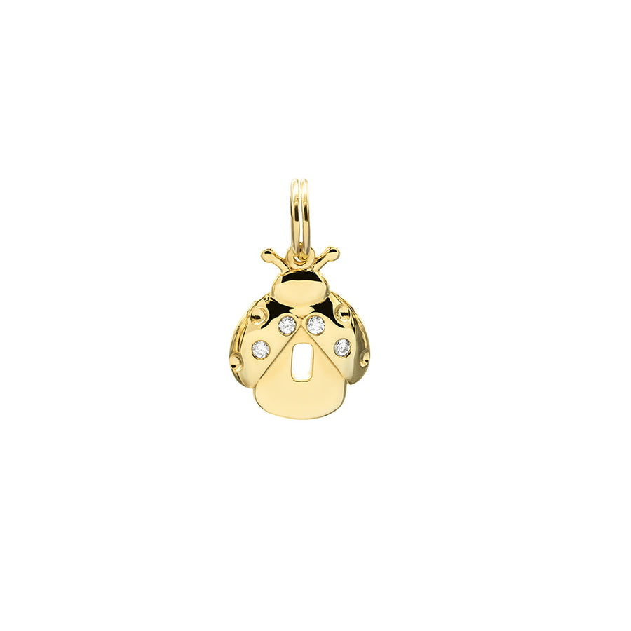 PUZZLE CHARM COCCINELLA